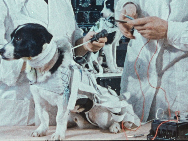 ‘SPACE DOGS’ O CÓMO DESCENTRALIZARNOS DE UNA&nbsp;VEZ