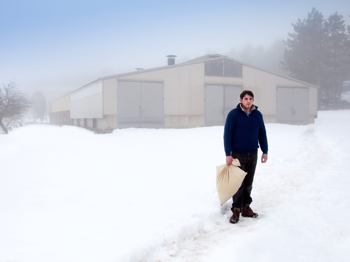 ‘SEULES LES BÊTES’ O CÓMO EL DESEO ES UN&nbsp;ESPEJISMO