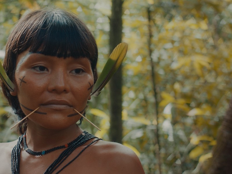 ‘A ULTIMA FLORESTA’ O CÓMO NECESITAMOS DESCENTRALIZAR AL HOMBRE&nbsp;BLANCO