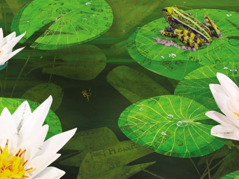 ‘BUENOS DIAS, MUNDO’ O CÓMO LA SIMBIOSIS EXPLICA LA&nbsp;DIVERSIDAD