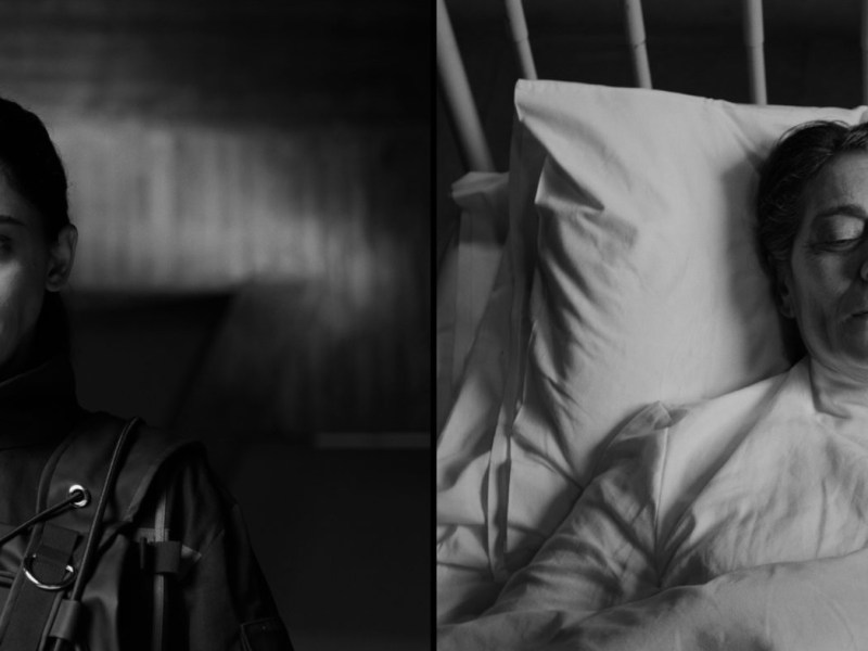 ‘IN VITRO’ O CÓMO ARRASTRAMOS EL&nbsp;PASADO