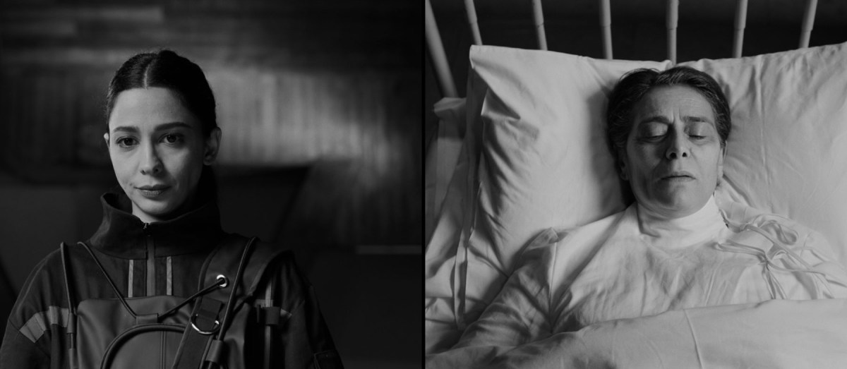 ‘IN VITRO’ O CÓMO ARRASTRAMOS EL&nbsp;PASADO