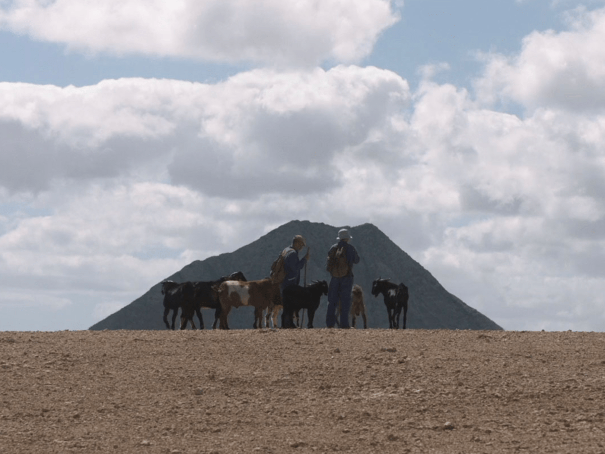 ‘RENDIR LOS MACHOS’ O CÓMO RENDIRSE A SI&nbsp;MISMX