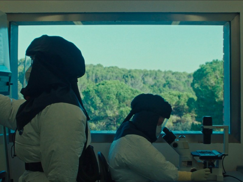 ’FAUNA’ O CÓMO LO ANTAGÓNICO SE&nbsp;RELACIONA