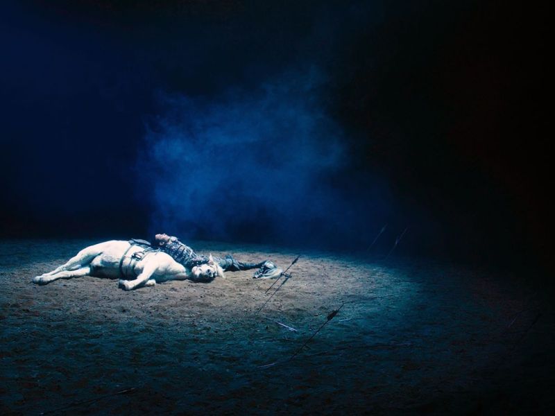 ’TO KILL A MONGOLIAN HORSE’ O CÓMO LA REPRESENTACIÓN DE UNA VIDA ESTÁ AL SERVICIO DEL&nbsp;CAPITAL