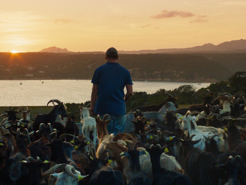 ’EL MOHICANO’ O CÓMO LUCHAR EN NOMBRE DE LO&nbsp;LOCAL