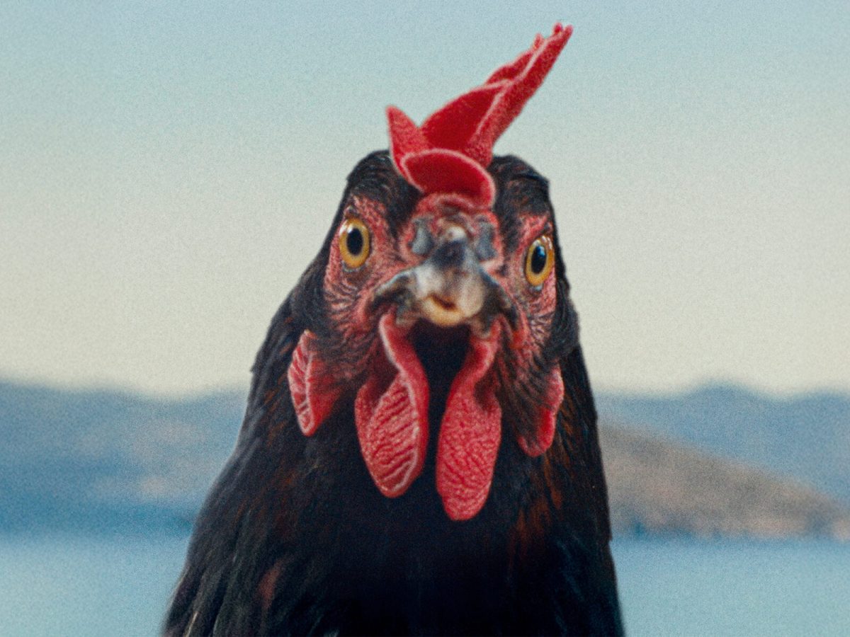 ’HEN’ O CÓMO COMERCIAN CON NUESTROS&nbsp;CUERPOS